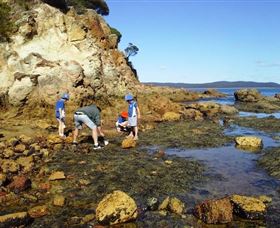 Sapphire Coast Marine Discovery Centre - Grafton Accommodation 0