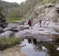 Nadgee Wilderness Walk - Grafton Accommodation