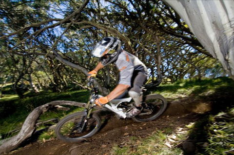 All Terrain Cycles - Grafton Accommodation 0