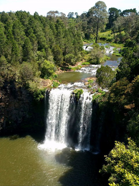 A1 Coffs Coast Tours - Grafton Accommodation 5