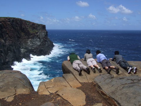 Out Of Sight Tours - Grafton Accommodation 0