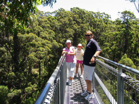 Out Of Sight Tours - Grafton Accommodation 15