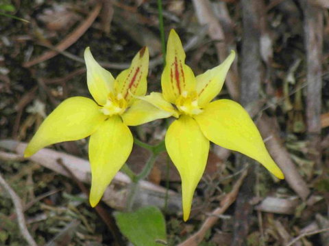 Out Of Sight Tours - Grafton Accommodation 32