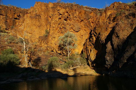 Aussie Heritage Tours - Grafton Accommodation 7