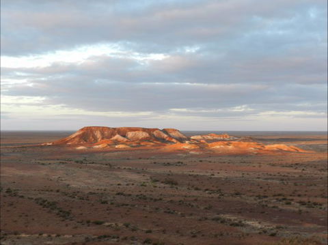 Aussie Heritage Tours - Grafton Accommodation 15