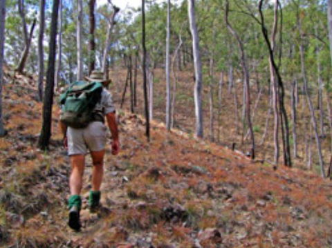 Shepherd's Peak Trail - Grafton Accommodation 0