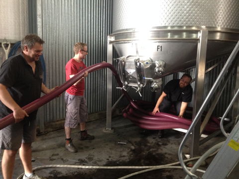 La Prova Wines - Grafton Accommodation 2