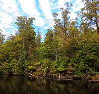 A R Reflections River Cruises - Grafton Accommodation