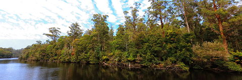 A R Reflections River Cruises - Grafton Accommodation 0