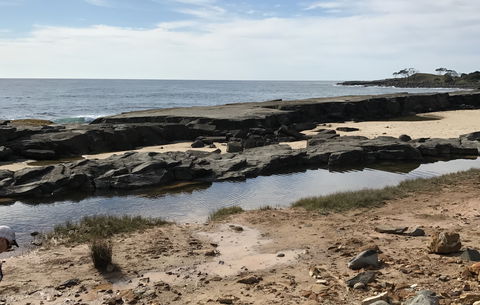 Yamba Tours And Charters - Grafton Accommodation 0