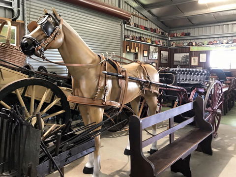 Yamba Tours And Charters - Grafton Accommodation 9