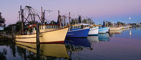 Yamba Tours And Charters - Grafton Accommodation 14