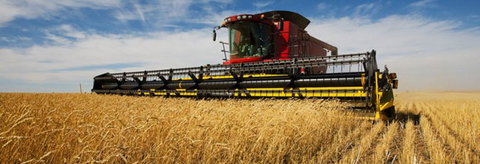 Quirindi Grain And Produce - Grafton Accommodation 0