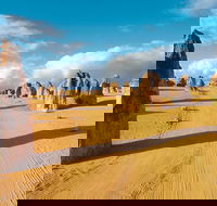 Pinnacles Desert Koalas and Sandboarding 4WD Day Tour from Perth - Grafton Accommodation