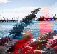 Rottnest Island Tour from Perth or Fremantle including Adventure Speed Boat Ride - Grafton Accommodation