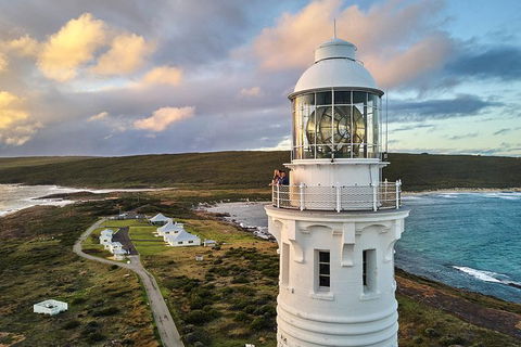 Cape Leeuwin Lighthouse Fully-guided Tour - Grafton Accommodation 0
