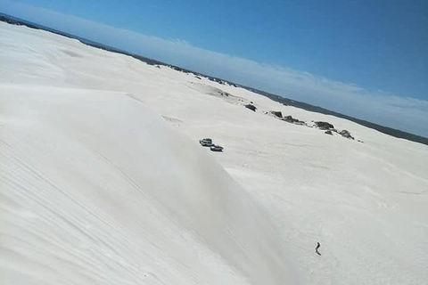 Yanchep & Lancelin - Wildlife, Cave And Sands - Grafton Accommodation 3