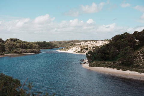 Yanchep & Lancelin - Wildlife, Cave And Sands - Grafton Accommodation 6