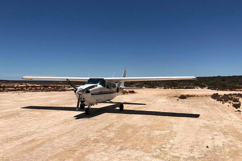 Kalbarri Gorges & West Coast - Ground & Air Tour - Grafton Accommodation 6