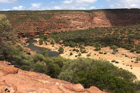 Kalbarri Gorges & West Coast - Ground & Air Tour - Grafton Accommodation 7