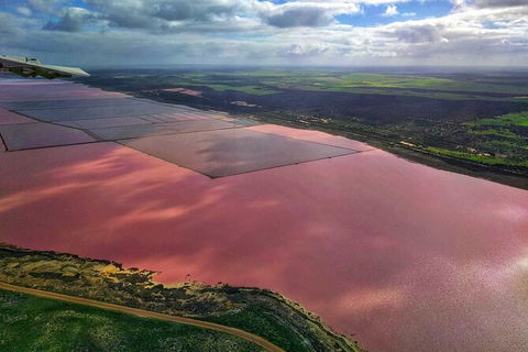 Kalbarri, Pink Lake And Abrolhos Islands Nature Tour - Grafton Accommodation 3