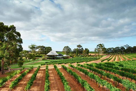 Vasse Felix Winery Tour And Tasting - Grafton Accommodation 0