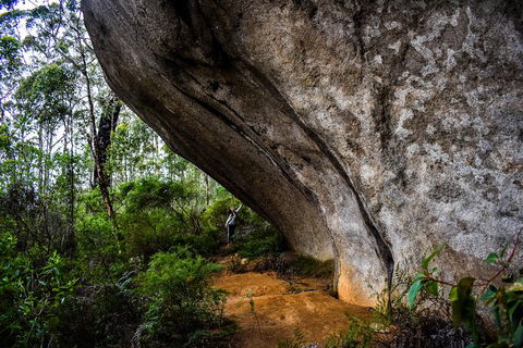 Porongurup Nature & History Eco Tour - Grafton Accommodation 0