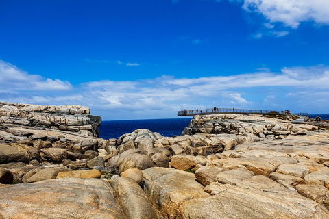 Torndirrup National Park And Bay Highlights - Grafton Accommodation 1