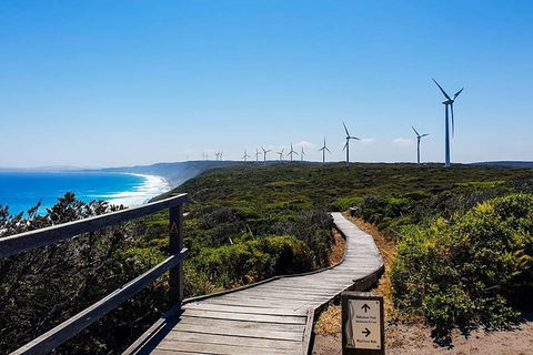 Torndirrup National Park And Bay Highlights - Grafton Accommodation 0