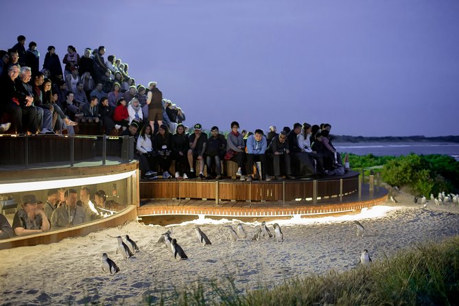 Phillip Island VIC Grafton Accommodation
