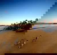 Phillip Island Ultimate Penguin Eco Tour or Skybox Experience - Grafton Accommodation