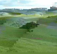 Day Tour of Phillip Island  Surrounding Region - Grafton Accommodation