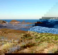 Phillip Island Walking  Bird Watching Tour - Grafton Accommodation