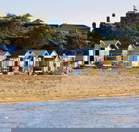 1 Day Mornington Peninsula Wine and Food Tour - Grafton Accommodation