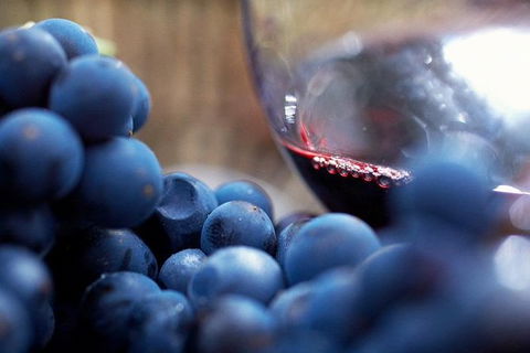 Ultimate Mornington Peninsula Food And Wine Small Group Tour - Grafton Accommodation 1