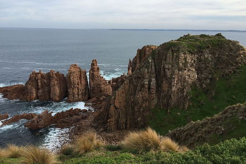 Half Day Phillip Island Woolamai Walking Tour - Grafton Accommodation 16