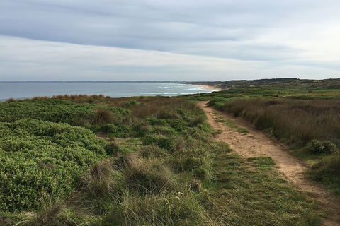 Half Day Phillip Island Woolamai Walking Tour - Grafton Accommodation 3