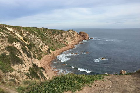 Half Day Phillip Island Woolamai Walking Tour - Grafton Accommodation 2