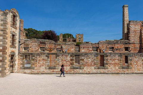 Port Arthur And Tassie Devils Active Day Tour From Hobart - Grafton Accommodation 7