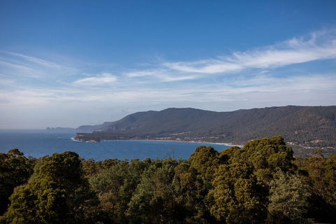 Port Arthur And Tassie Devils Active Day Tour From Hobart - Grafton Accommodation 4
