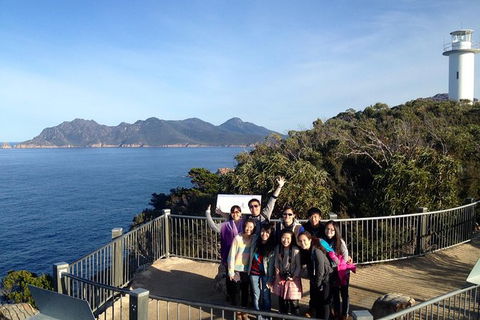 Wineglass Bay And Freycinet National Park Active Day Trip From Hobart - Grafton Accommodation 1