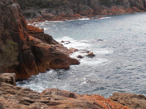 Wineglass Bay And Freycinet National Park Active Day Trip From Hobart - Grafton Accommodation 4