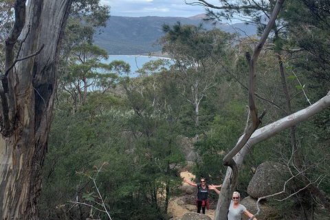 Wineglass Bay And Freycinet National Park Active Day Trip From Hobart - Grafton Accommodation 14