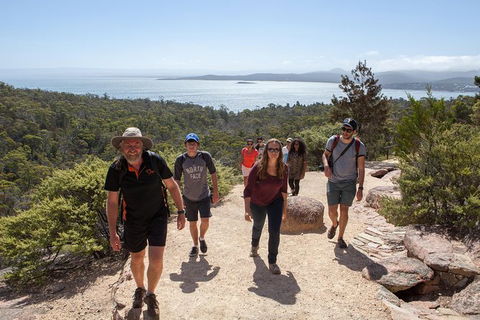 Wineglass Bay And Freycinet National Park Active Day Trip From Hobart - Grafton Accommodation 26