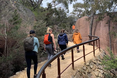 Wineglass Bay And Freycinet National Park Active Day Trip From Hobart - Grafton Accommodation 25