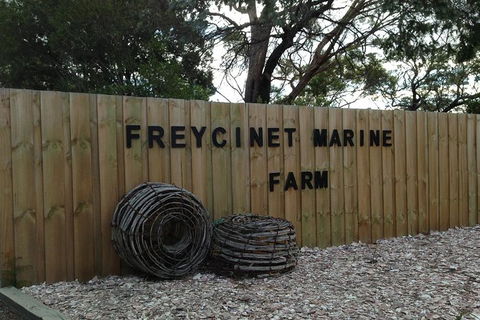 Wineglass Bay And Freycinet National Park Active Day Trip From Hobart - Grafton Accommodation 20
