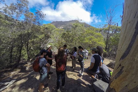 Wineglass Bay And Freycinet National Park Active Day Trip From Hobart - Grafton Accommodation 9