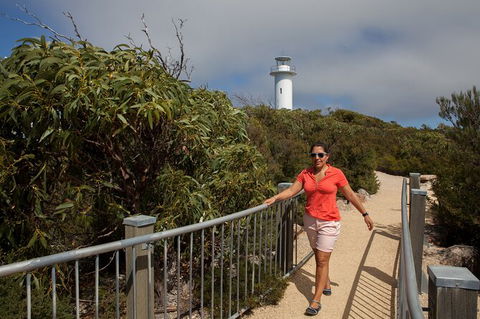 Wineglass Bay And Freycinet National Park Active Day Trip From Hobart - Grafton Accommodation 29