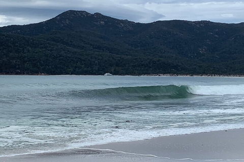 Wineglass Bay And Freycinet National Park Active Day Trip From Hobart - Grafton Accommodation 17