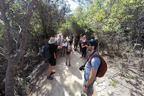 Wineglass Bay And Freycinet National Park Active Day Trip From Hobart - Grafton Accommodation 19